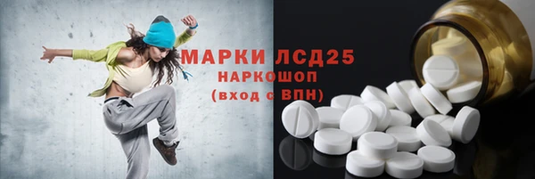 прущие грибы Верея