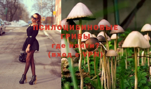 мдпв Волосово