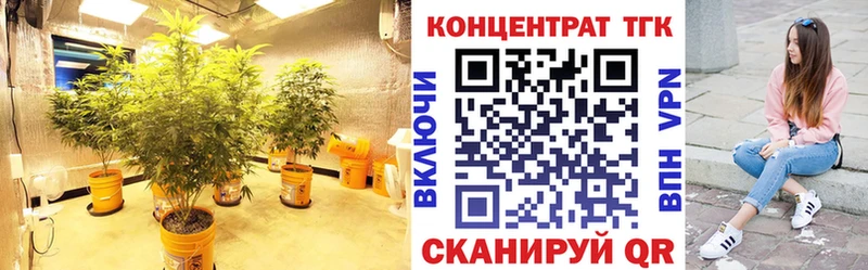продажа наркотиков  hydra ТОР  Дистиллят ТГК концентрат  Нерюнгри 