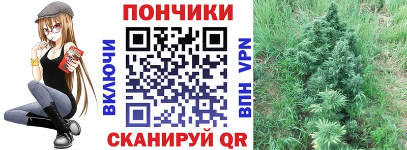 МАРИХУАНА ГИДРОПОН  даркнет сайт  это состав  Нерюнгри 